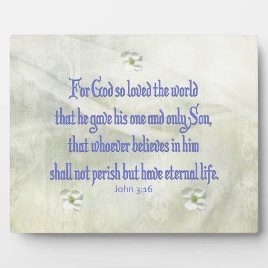 John 316 Bloesemboom Fotoplaat (Voorkant)