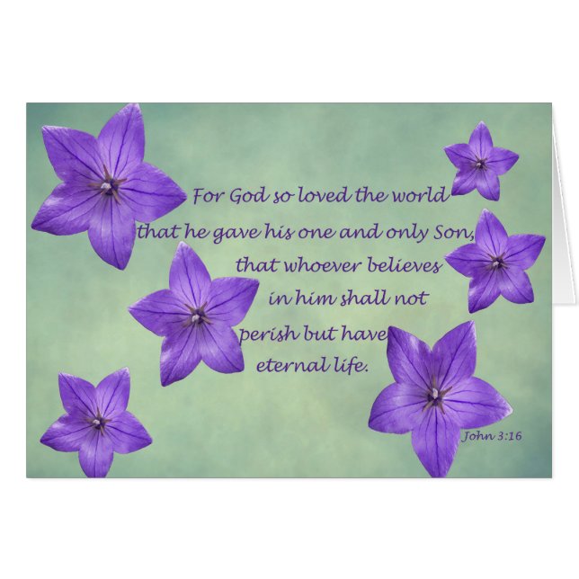 John 3:16 (Voorkant Horizontaal)