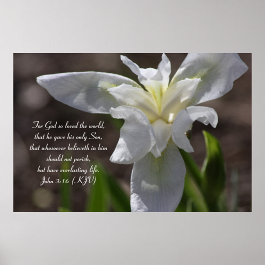 John 3:16 - De kracht van Gods liefde Poster (Voorkant)