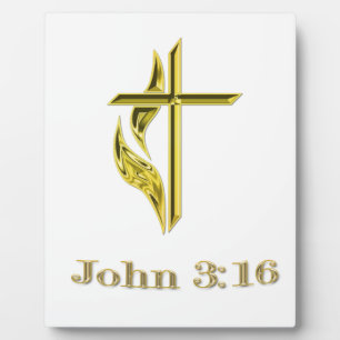 John 3:16 fotoplaat