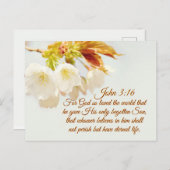 John 3:16 God hield zo van de wereld, Manuscript Briefkaart (Voorkant / Achterkant)