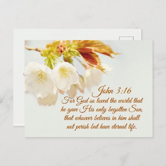 John 3:16 God hield zo van de wereld, Manuscript Briefkaart (Voorkant / Achterkant)