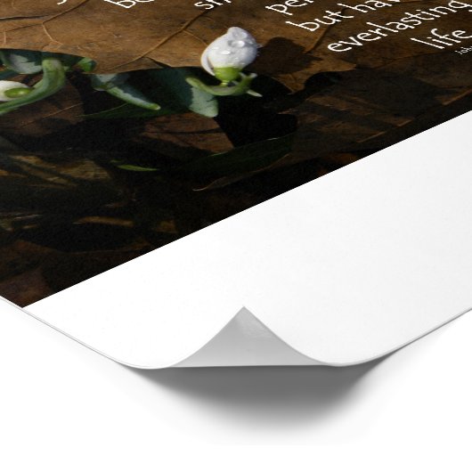 John 3:16 Koning James poster basisportefeuille (Hoek)