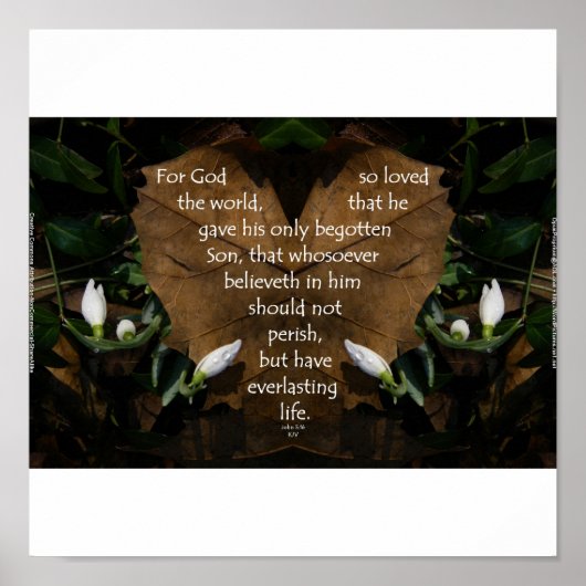 John 3:16 Koning James poster basisportefeuille (Voorkant)