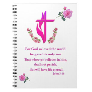 John 3:16 notitieboek
