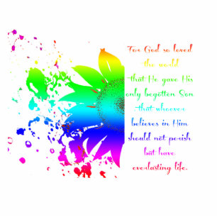 John 3:16 regenboogzonnebloemmagneet fotobeeldje magneet