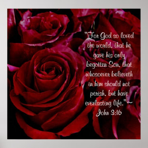 John 3:16 rode rozenafdrukken poster