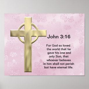 John 3:16 (roze) poster