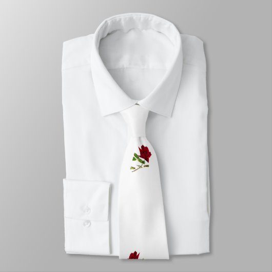 John 3:16 stropdas (Gebonden)