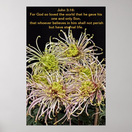 John 3:16 Voor God die zo van de wereld hield Poster (Voorkant)