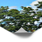 John 3:36 Hij gelooft op de Zoon... Poster (Hoek)