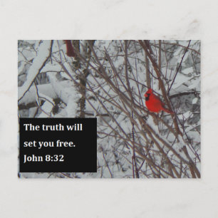 John 8:32 Scripture Post Card Briefkaart