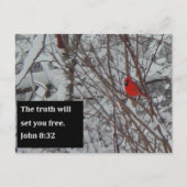 John 8:32 Scripture Post Card Briefkaart (Voorkant)