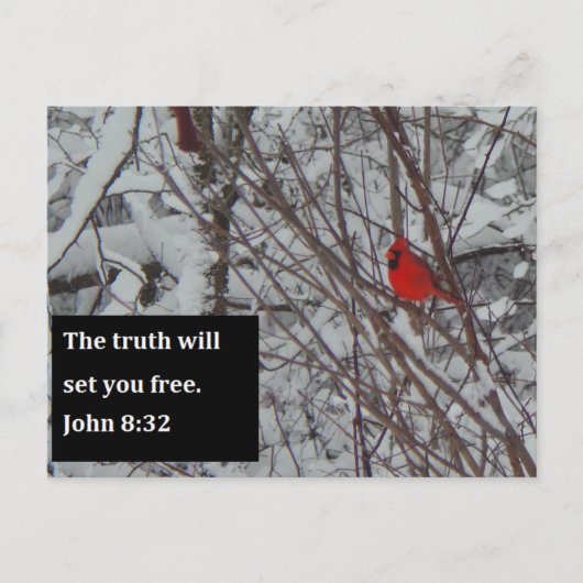 John 8:32 Scripture Post Card Briefkaart (Voorkant)