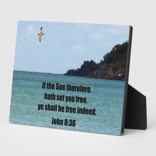 John 8:36 fotoplaat (Zijkant)