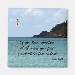 John 8:36 magneet