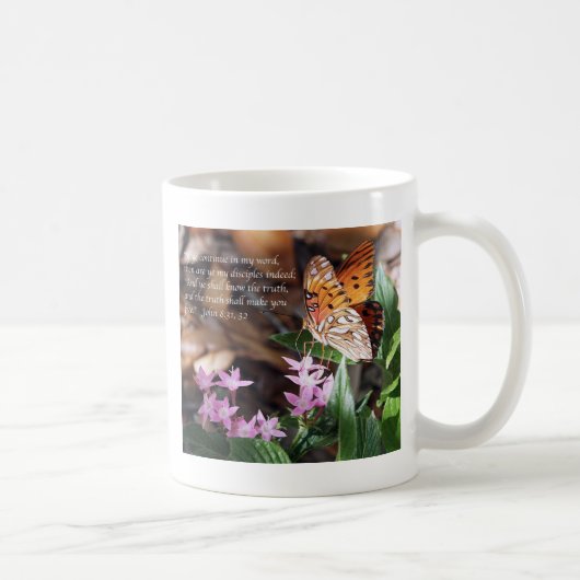 John 8 Gulf Fritillary Butterfly Koffiemok (Rechts)