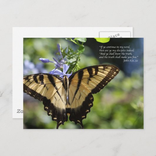 John 8 Yellow Swallowtail Butterfly Briefkaart (Voorkant / Achterkant)