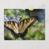 John 8 Yellow Swallowtail Butterfly Briefkaart (Voorkant)