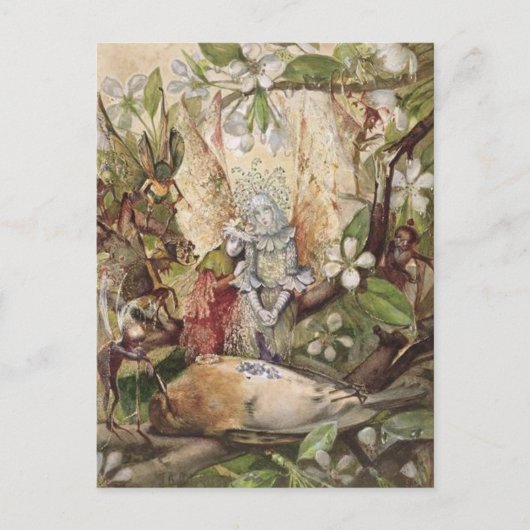 John Anster Fitzgerald - De dood van de roodborst Briefkaart (Voorkant)