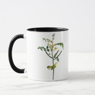 John Audubon Birds of America, Warbler voor kinder Mok
