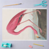 John Audubon Flamingo Roze Kunstwerk Decoupaging Tissuepapier (Craft)