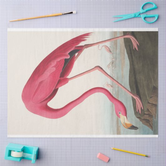John Audubon Flamingo Roze Kunstwerk Decoupaging Tissuepapier (Craft)