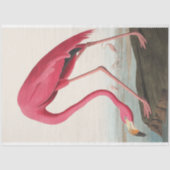 John Audubon Flamingo Roze Kunstwerk Decoupaging Tissuepapier (Voorkant)
