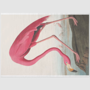 John Audubon Flamingo Roze Kunstwerk Decoupaging Tissuepapier
