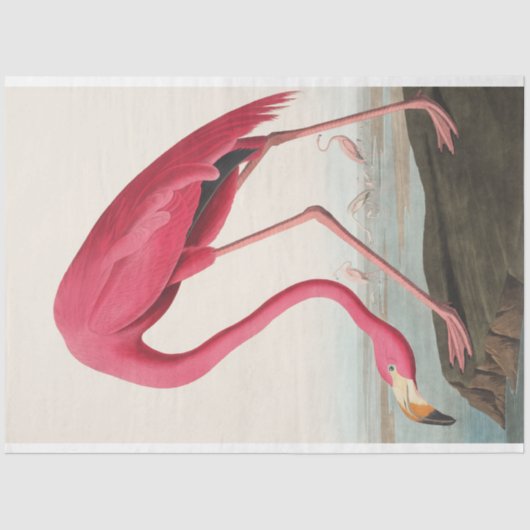 John Audubon Flamingo Roze Kunstwerk Decoupaging Tissuepapier (Voorkant)