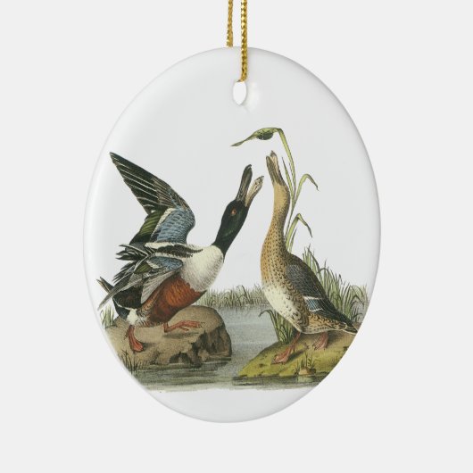 John Audubon Keramisch Ornament (Rechts)