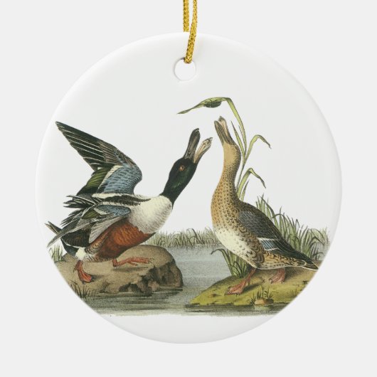 John Audubon Keramisch Ornament (Voorkant)