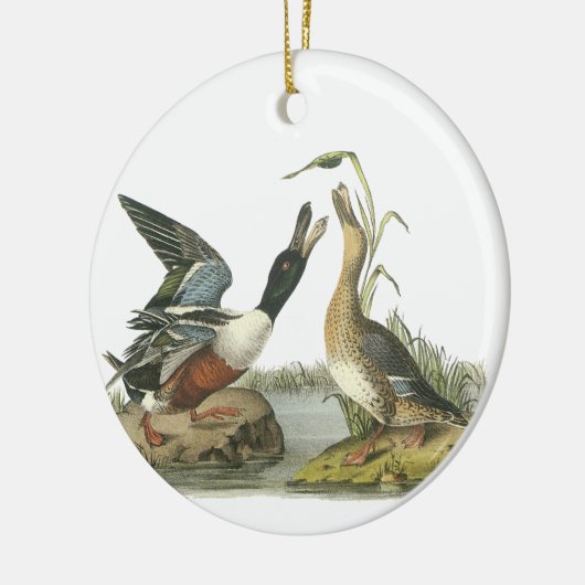 John Audubon Keramisch Ornament (Links)