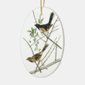 John Audubon Rufous-sided Towee Keramisch Ornament (Links)
