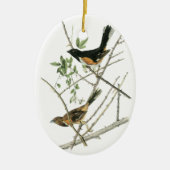 John Audubon Rufous-sided Towee Keramisch Ornament (Voorkant)
