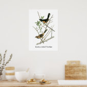 John Audubon Rufous-sided Towee Poster (Keuken)