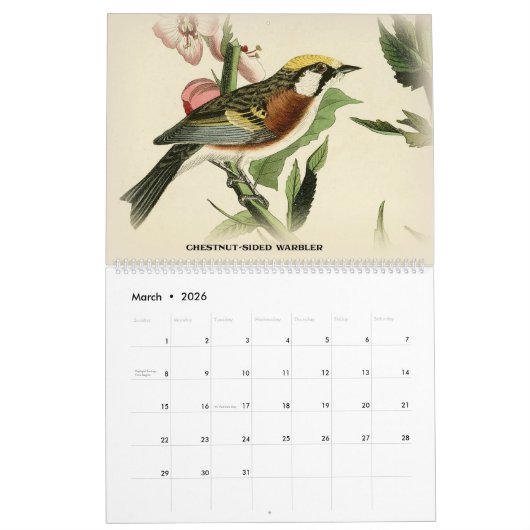 John Audubon Warblers 2 Birds of America Calendar Kalender (Mar 2026)