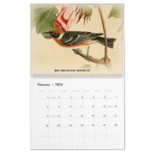 John Audubon Warblers 2 Birds of America Calendar Kalender (Feb 2026)