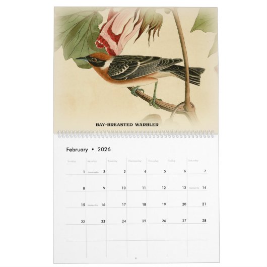 John Audubon Warblers 2 Birds of America Calendar Kalender (Feb 2026)