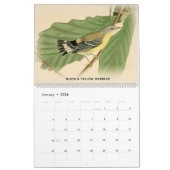 John Audubon Warblers 2 Birds of America Calendar Kalender (Jan 2026)
