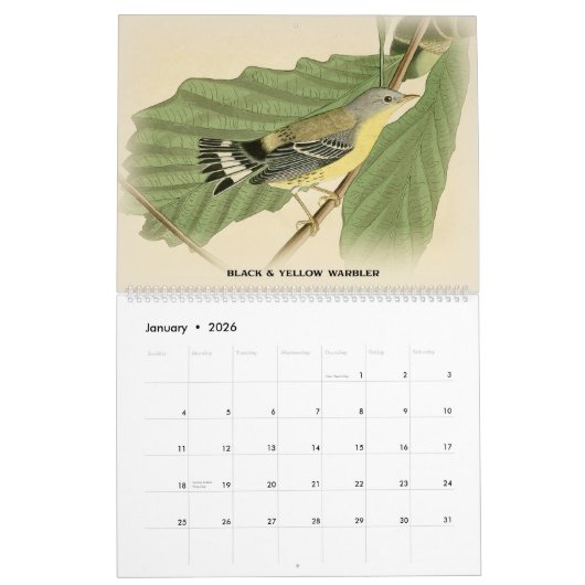 John Audubon Warblers 2 Birds of America Calendar Kalender (Jan 2026)