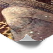 John Bauer Agneta en het meer King Poster (Hoek)