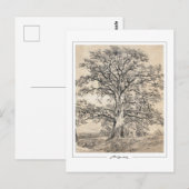 John Constable #545-2 - Kunstansichtkaart Briefkaart (Voorkant / Achterkant)