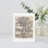 John Constable #545-2 - Kunstmatig Briefkaart (Staand voorkant)