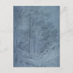 John Constable   Onderzoek naar as en andere bomen Briefkaart