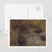 John Constable | Roesjes van een pool, c.1821 (oli Briefkaart (Voorkant / Achterkant)
