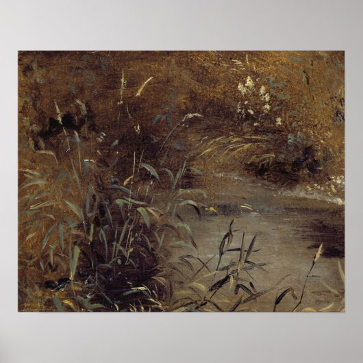 John Constable | Roesjes van een pool, c.1821 (oli Poster (Voorkant)