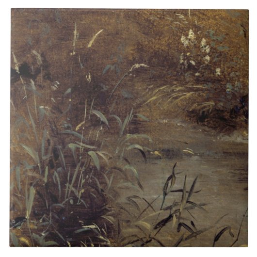 John Constable | Roesjes van een pool, c.1821 (oli Tegeltje (Voorkant)