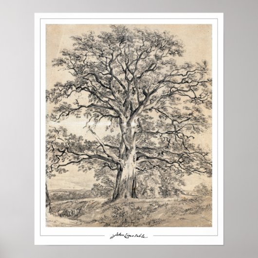 John Constable Zedign Art Poster #545-2 (Voorkant)