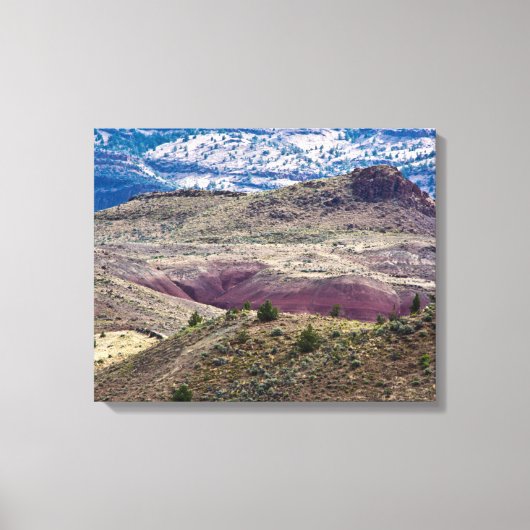 John Day Fossil Beds National Monument (Oregon) Canvas Afdruk (Voorkant)